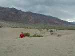 3 Apr 04 Death Valley; Motogirlies; Death Valley; Dunes; Michael;x
Keywords:: 2004_0404dv_trip0121.JPG
