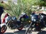 4 Apr 04 Death Valley; Motogirlies; 190 Paramint Springs; Breakfast;
Keywords:: 2004_0405dv_trip0095.JPG
