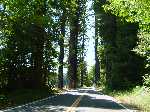 10 Jul 04 Lassen/Crater Lake/Rouge River; Avenue of the Giants (norther cali) giant redwood grove
Keywords:: 2004_0710Image2-2560142.JPG