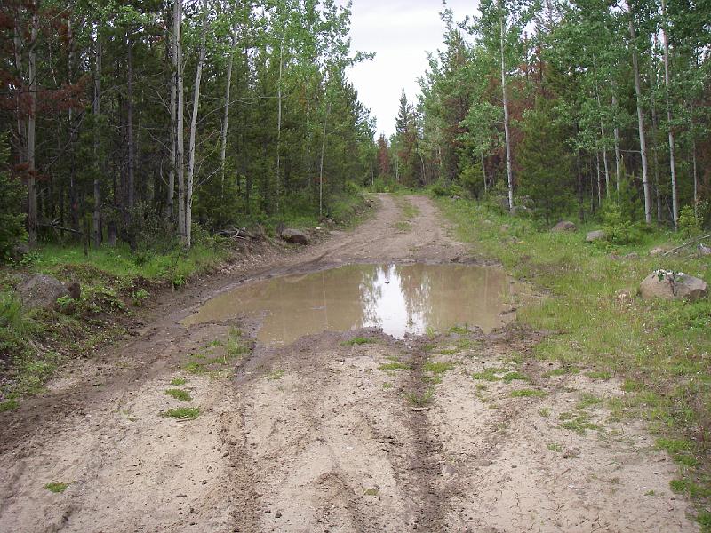 bc2ak-O0027.JPG - Alaska trip 08; bc2ak;Chilcotin Forest; Mud puddle; This puddle ate several bikes, including lowering Mudbuckets handlebars!
