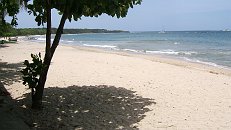 Costa Rica April 2005;  Ho hum, another beautiful tropical beach * Apr 06, 2005 - 09:40 AM