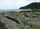 New Zealand; Goat Island; Pacific Coast; Very clear water