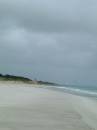 New Zealand; Pakiri beach, First white sand going north out of Auckland, Pacific coastx