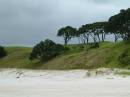 New Zealand; Pakiri beach, First white sand going north out of Auckland, Pacific coastx