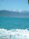 New Zealand; Kaikoura; Dolphin Swim (!)- Orca watchng :-);  Mountains from the bay;