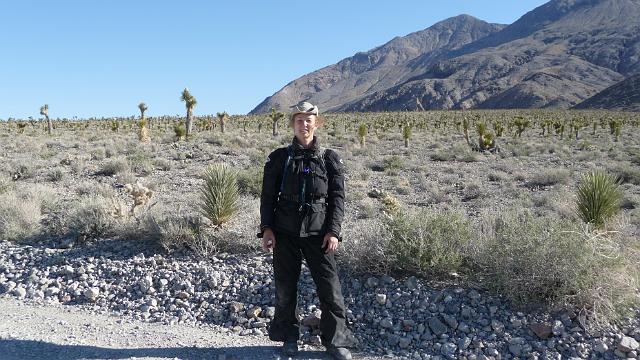 Race Track road through a Joshua Tree forest, Death Valley