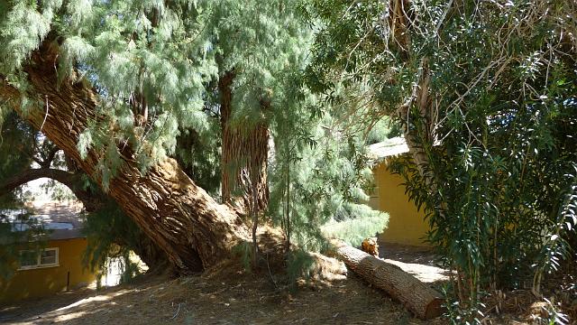 Warm Springs Camp, Death Valley