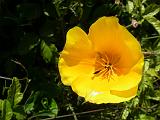 2009_0404DvWild-Pe0057