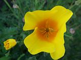 2009_0404DvWild-Pe0058