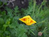 2009_0404DvWild-Pe0059