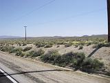 2009_0404DvWild-Pe0007