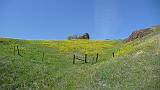 2009_0406DvWild-Pa0009