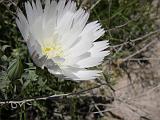 2009_0404DvWild-Pe0041