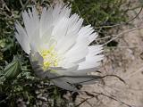 2009_0404DvWild-Pe0042