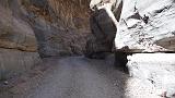 2009_0406DvWild-Pa0177