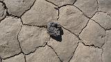 2009_0406DvWild-Pa0243