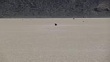 2009_0406DvWild-Pa0249
