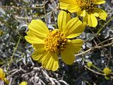 2009_0404DvWild-Pe0033