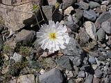 2009_0404DvWild-Pe0036