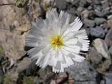 2009_0404DvWild-Pe0037