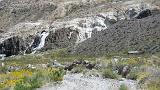 2009_0406DvWild-Pa0108