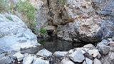 2009_0406DvWild-Pa0116