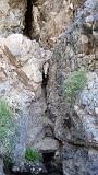2009_0406DvWild-Pa0117
