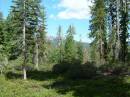 Lassen/Crater Lake/Umpqua hotsprings;Lassen Volcanic National Park; West and above Warren Valleyx