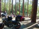 Lassen/Crater Lake/Umpqua hotsprings; Lassen National Forest, creek side camping site