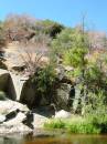 Kings Canyon and Sequoia Nation Park Trip; Kings Canyon run on Sunday; Swimming hole;