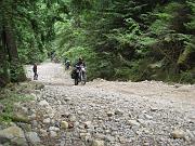 IMG_0461
