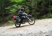 IMG_0462-1
