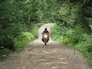 IMG_0495