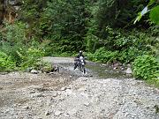 IMG_0517
