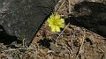 2008_0425dv0036