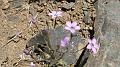 2008_0425dv0037
