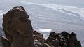 2008_0425dv0051