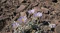 2008_0425dv0055