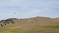 2008_0425dv0124