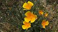 2008_0425dv0129