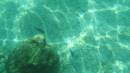 Loreto, Baja Feb 2006,  the water was so clear and alive with marine life * Feb 08, 2006 - 01:07 PM