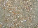 New Zealand; Pakiri beach, First white sand going north out of Auckland, Pacific coastx