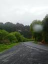 New Zealand; Road to Mokau (mid west coast of North Island)