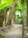New Zealand; The South Island; Trail head of Heaphy Track (road end);