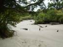 New Zealand; The South Island; Trail head of Heaphy Track (road end);