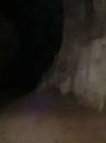 New Zealand; The South Island; Oparara Basin; Crazy Paving and Box Canyon Caves;