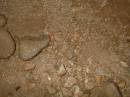 New Zealand; The South Island; Oparara Basin; Crazy Paving and Box Canyon Caves;