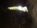New Zealand; The South Island; Oparara Basin; Crazy Paving and Box Canyon Caves;