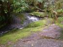 New Zealand; The South Island; Oparara Basin; Oparara Archx
