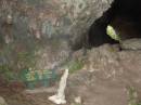 New Zealand; The South Island; Oparara Basin; Oparara Archx
